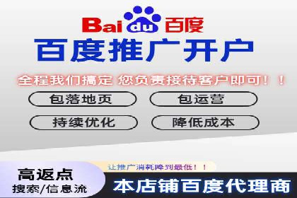 谷歌竞价优化：实战案例分析及策略